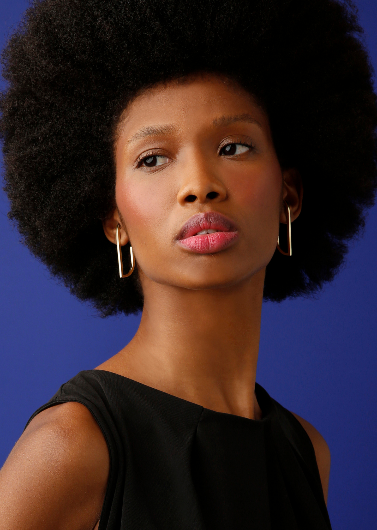 Brinco Arcos Encaixe