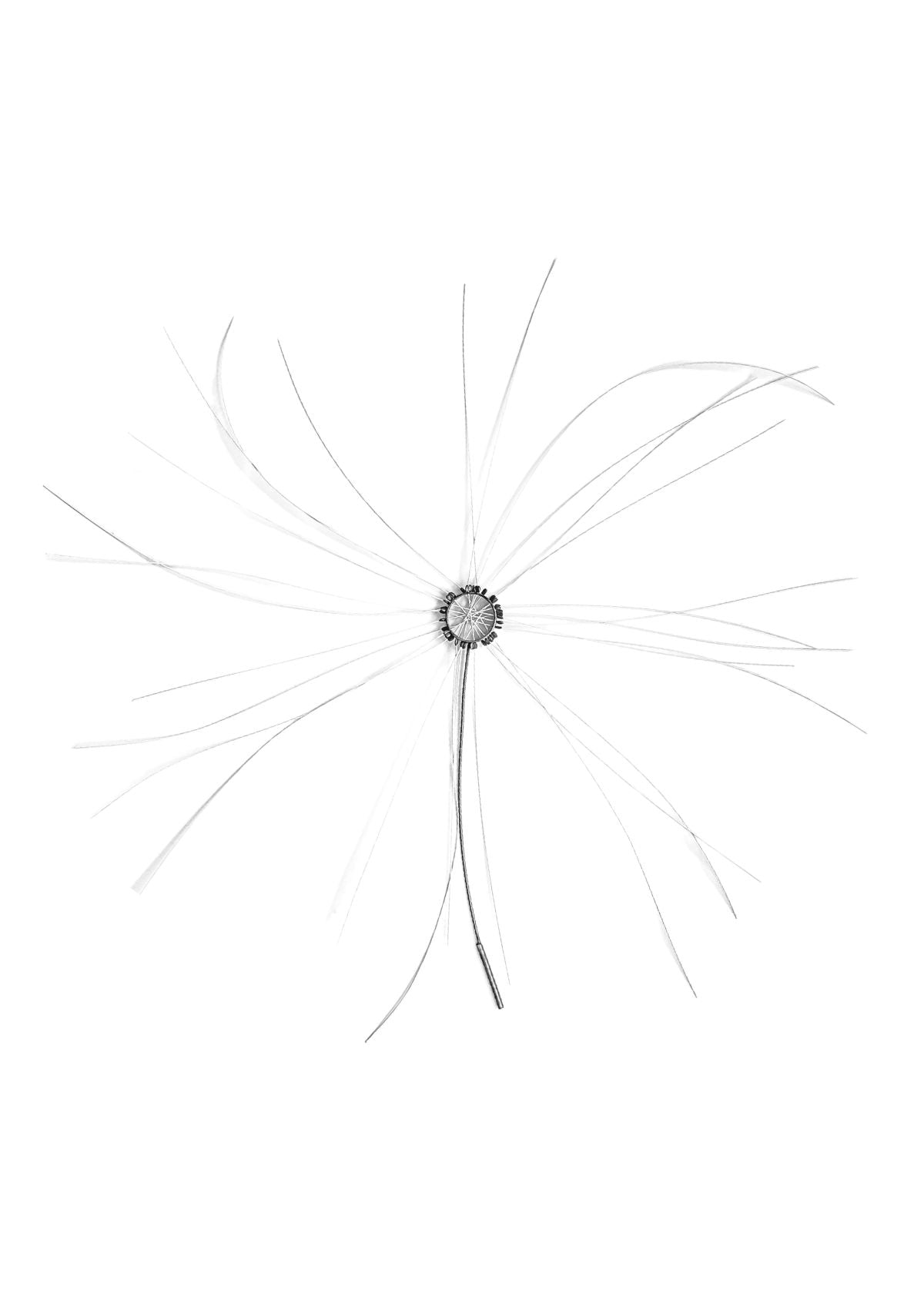 Broche Ouriço Branco